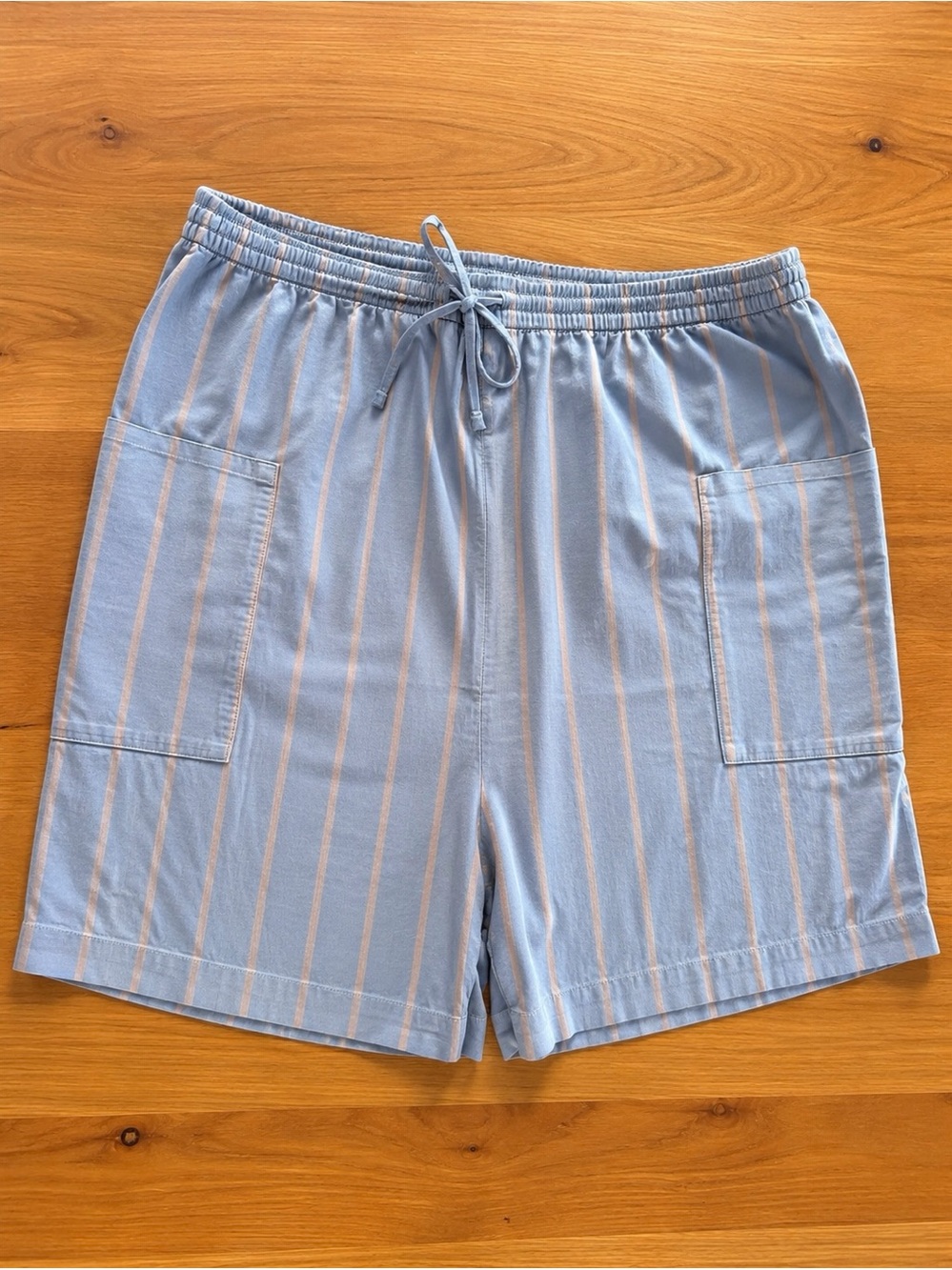Everlane Blue Gray Striped Drawstring Shorts XXL Organic Cotton Pockets